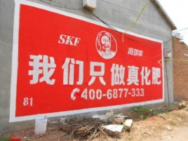 巴马刷墙广告”蕴含了时代命题