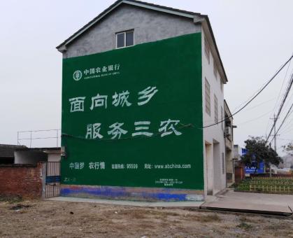 巴马为什么制作墙体广告