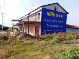 巴马必须知道的墙体广告形势