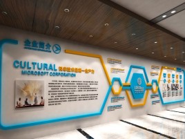 巴马企业形象墙的作用