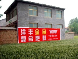 巴马如何让墙体广告展现最大化效果