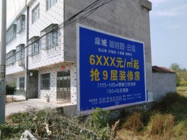 巴马墙体广告质量分析