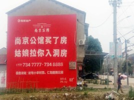 巴马墙体广告在乡镇、农村市场的媒体优势