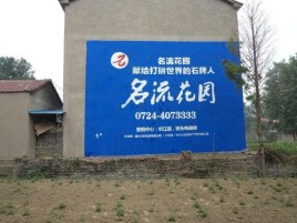 巴马墙体广告在乡镇、农村市场的媒体优势
