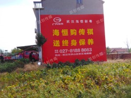 巴马农村墙体广告给农村人民带来方便