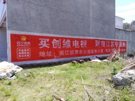 巴马墙体广告公司全面解决农村墙体广告痛点