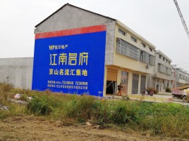 巴马农村墙体广告在不同形式上面展现的不同特色
