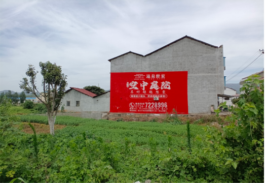 巴马做墙体广告的意义
