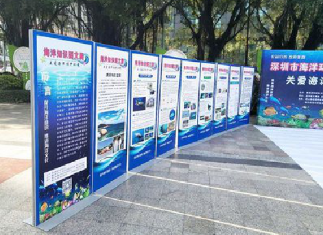 巴马KT板的种类和知识。